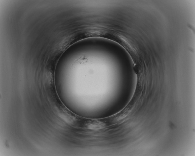 X0000097860459200803141242