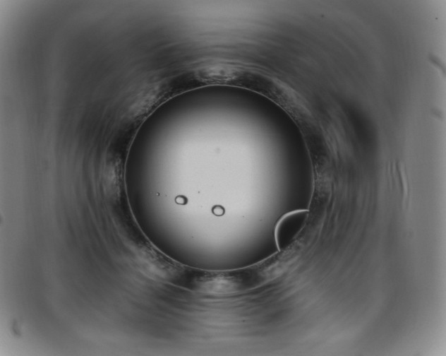 X0000097860460200803141242