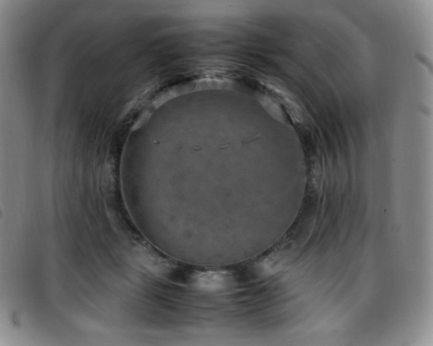 X0000097860461200803141242