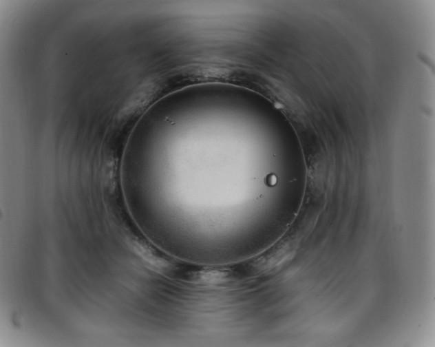 X0000097860462200803141242