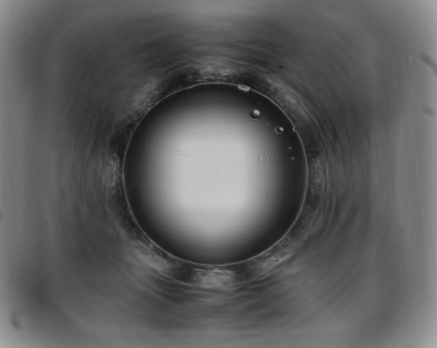 X0000097860463200803141242