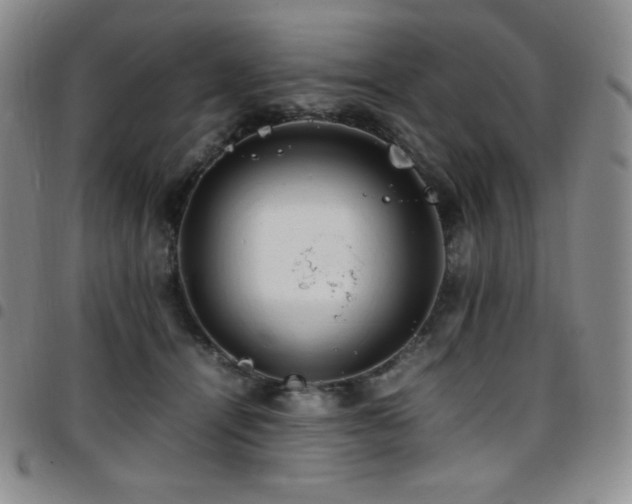 X0000097860464200803141242