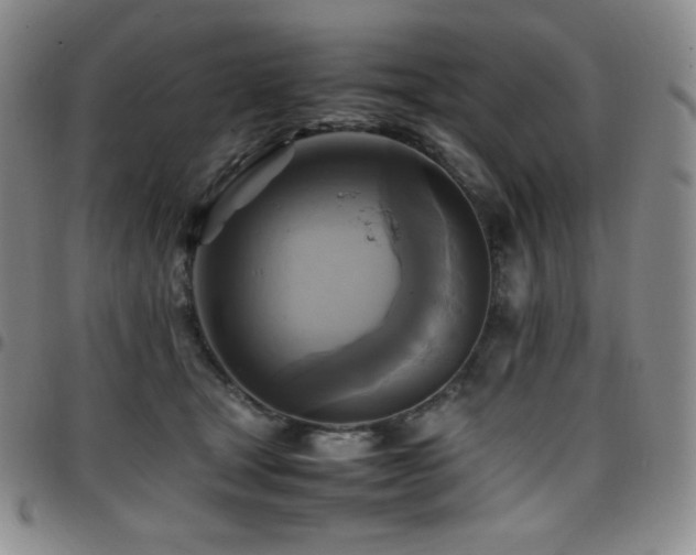 X0000097860465200803141242