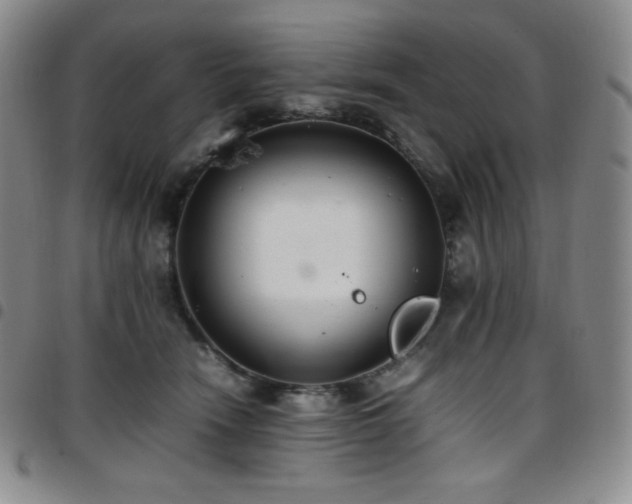 X0000097860466200803141242