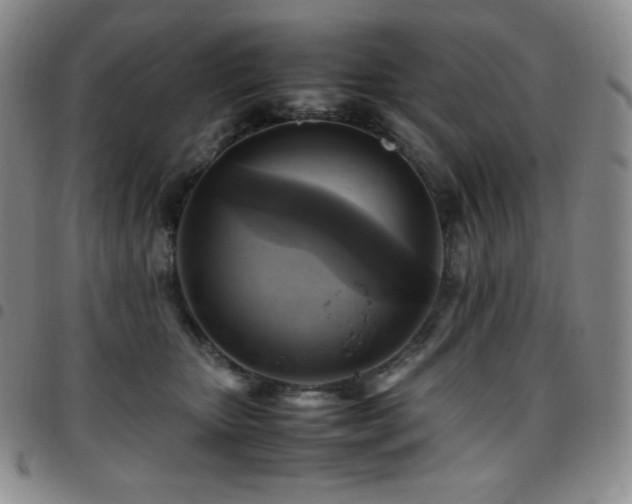 X0000097860467200803141242