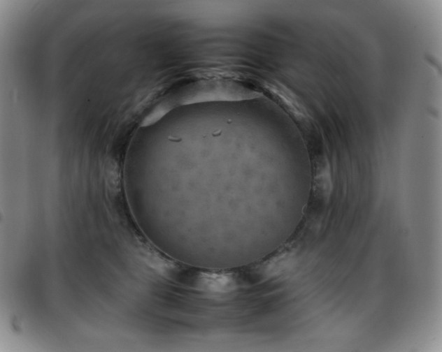 X0000097860469200803141242