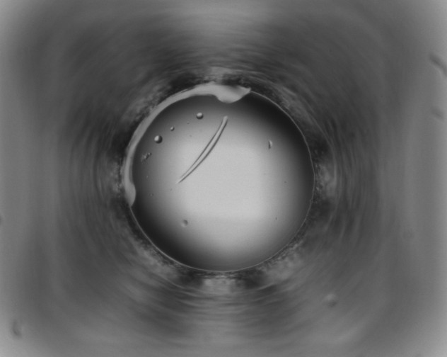 X0000097860470200803141242