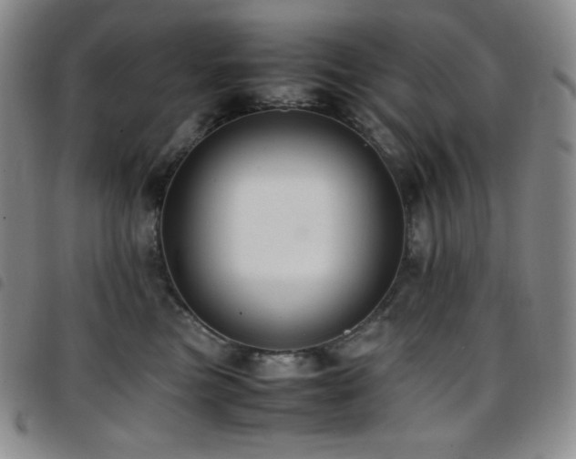 X0000097860473200803141242