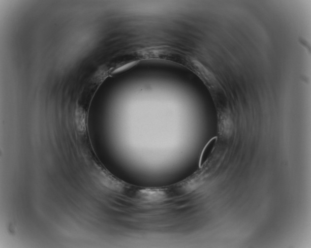 X0000097860477200803141242