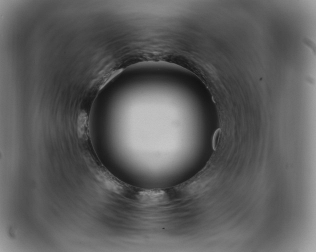 X0000097860480200803141242