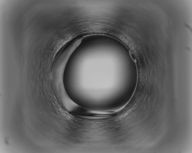 X0000097860481200803141242