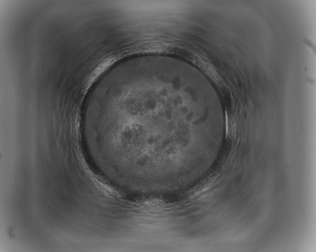 X0000097860483200803141242