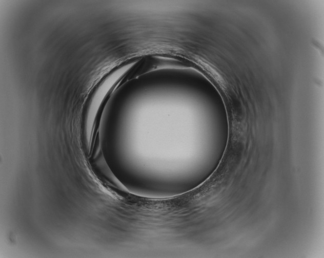 X0000097860485200803141242