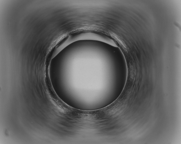 X0000097860486200803141242