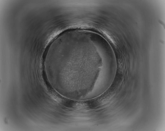 X0000097860487200803141242