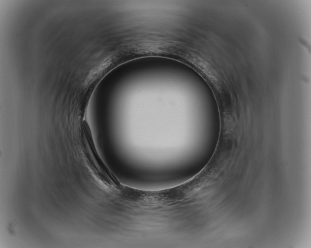 X0000097860489200803141241