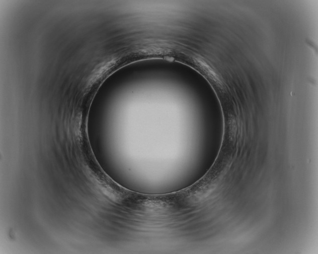 X0000097860490200803141241