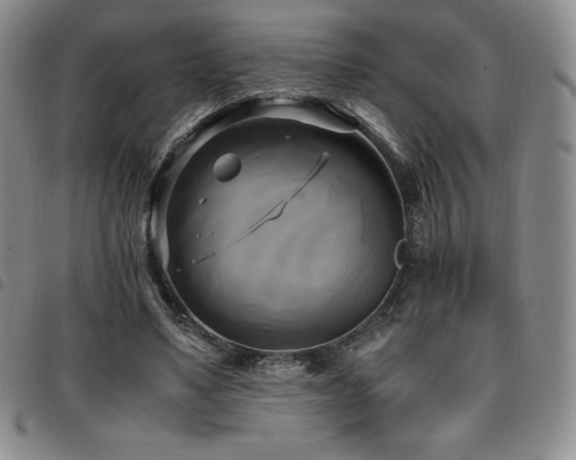 X0000097860491200803141241