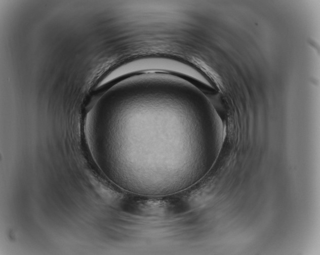 X0000097860493200803141241