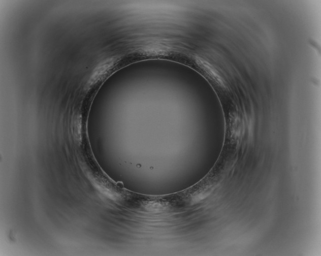 X0000097860494200803141241