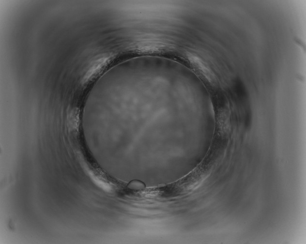 X0000097860495200803141241