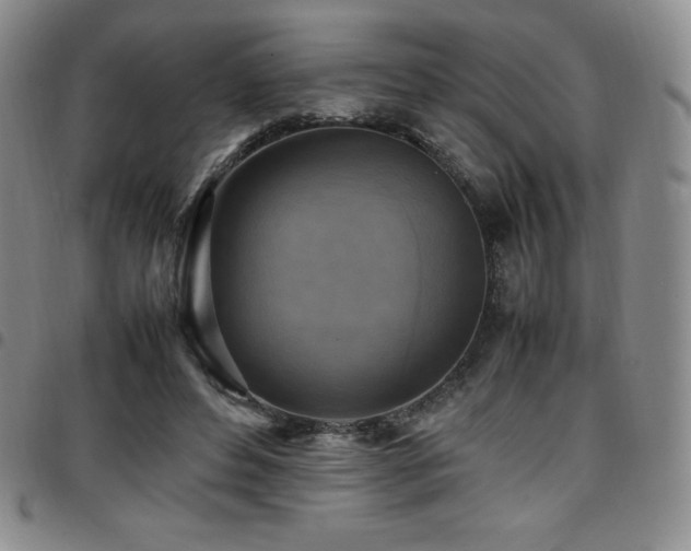 X0000097860496200803141241