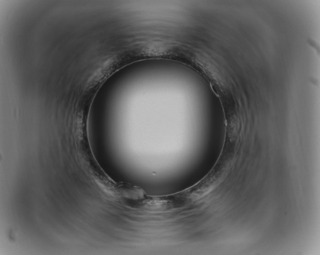 X0000097860497200803141241