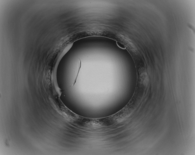 X0000097860498200803141241