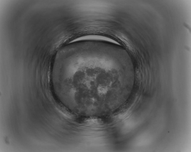 X0000097860499200803141241