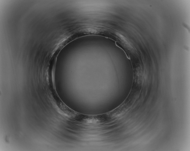 X0000097860500200803141241