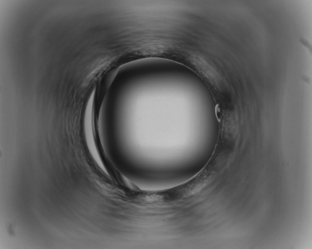 X0000097860501200803141241