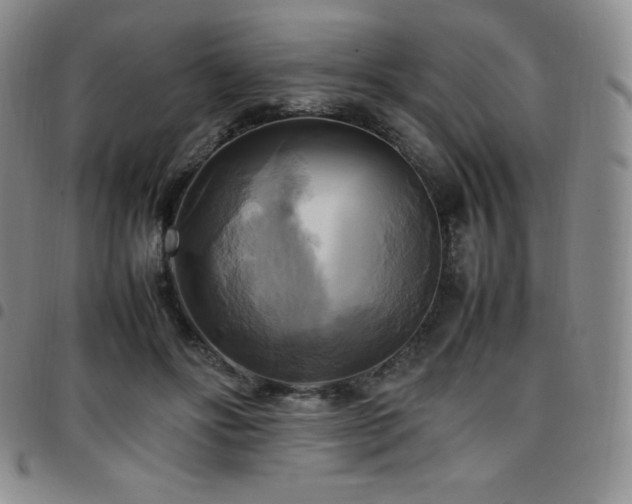 X0000097860502200803141241