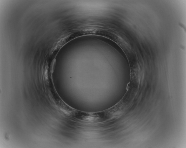 X0000097860504200803141241