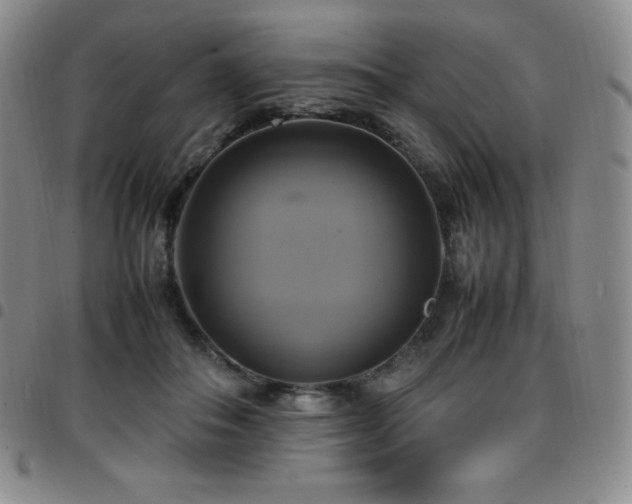 X0000097860506200803141241