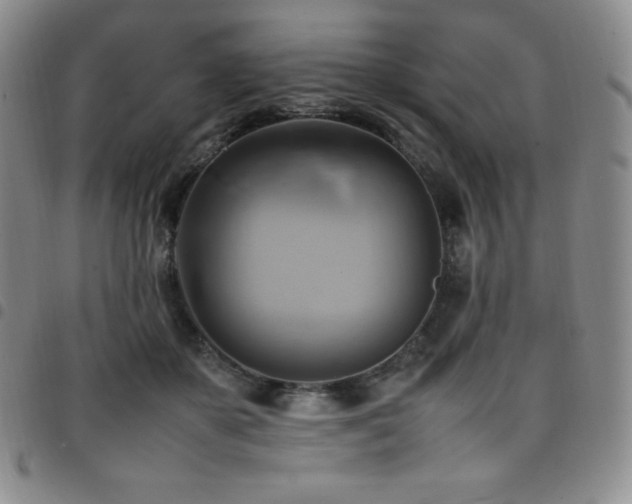 X0000097860507200803141241