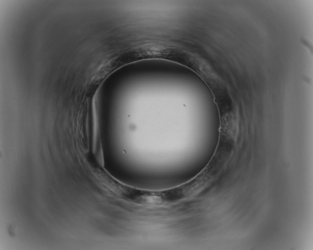 X0000097860509200803141241