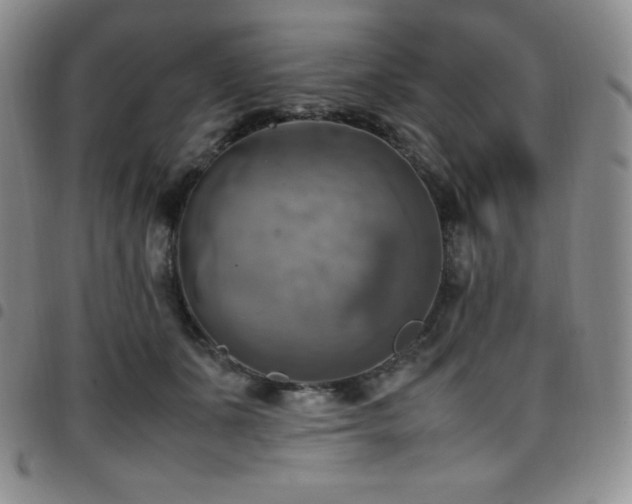 X0000097860511200803141241