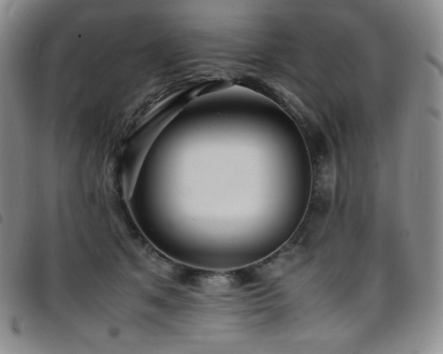 X0000097860513200803141241