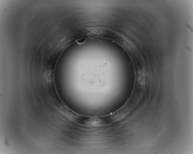 X0000097860514200803141241