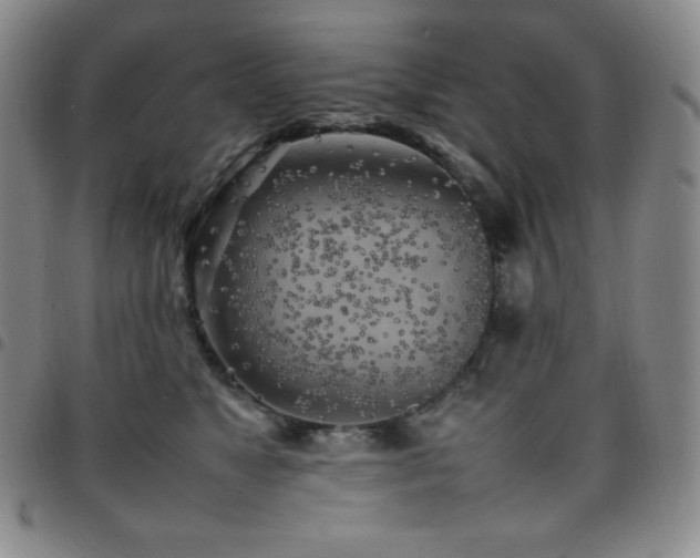 X0000097860517200803141241