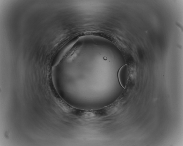 X0000097860519200803141241