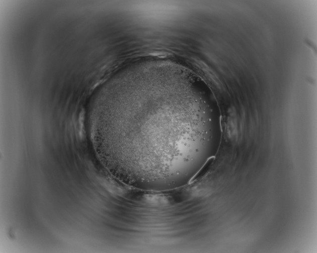 X0000097860520200803141241
