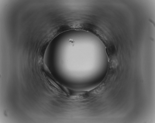 X0000097860521200803141241