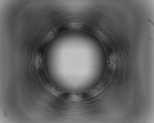 X0000097860522200803141241