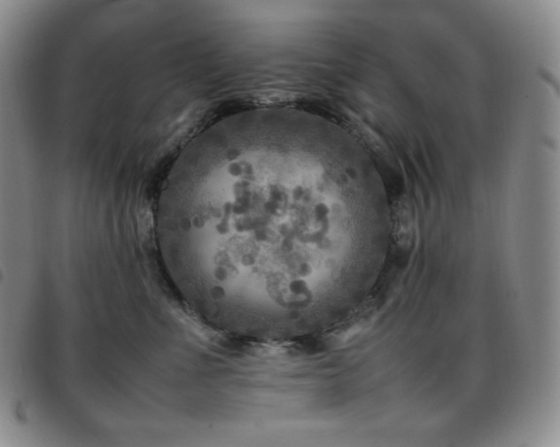 X0000097860523200803141241