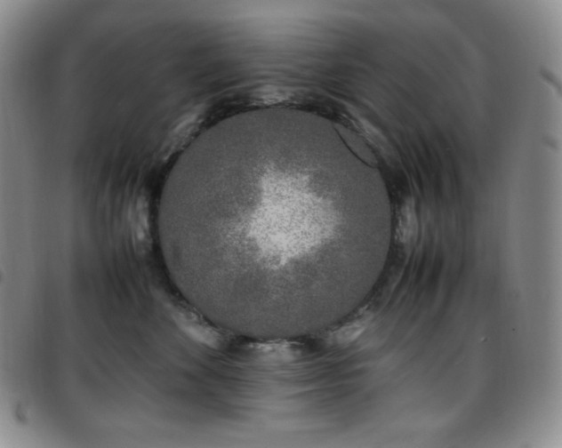 X0000097860524200803141241