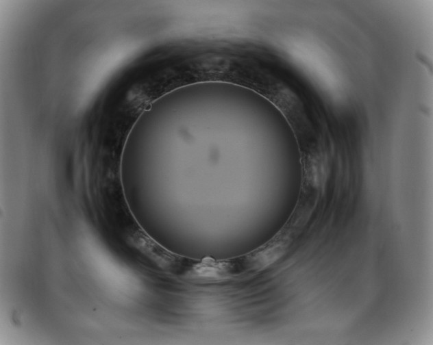 X0000097860526200803141241