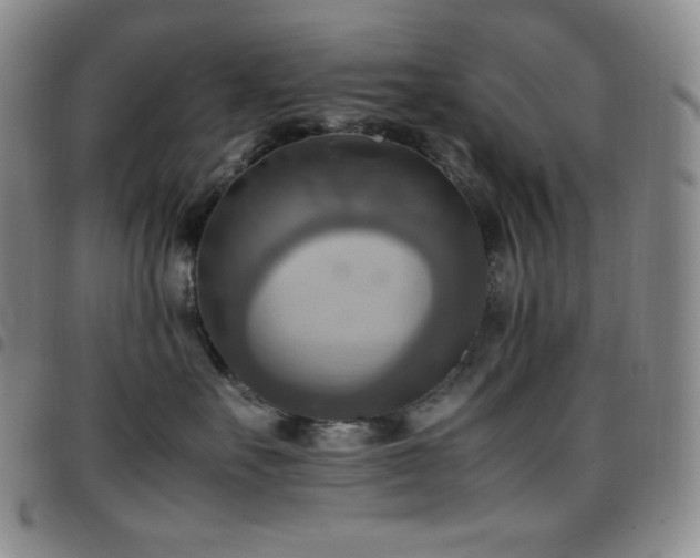 X0000097860527200803141241