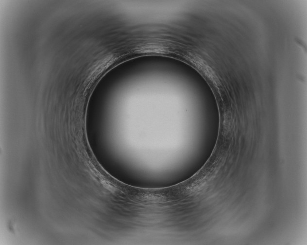 X0000097860529200803141240