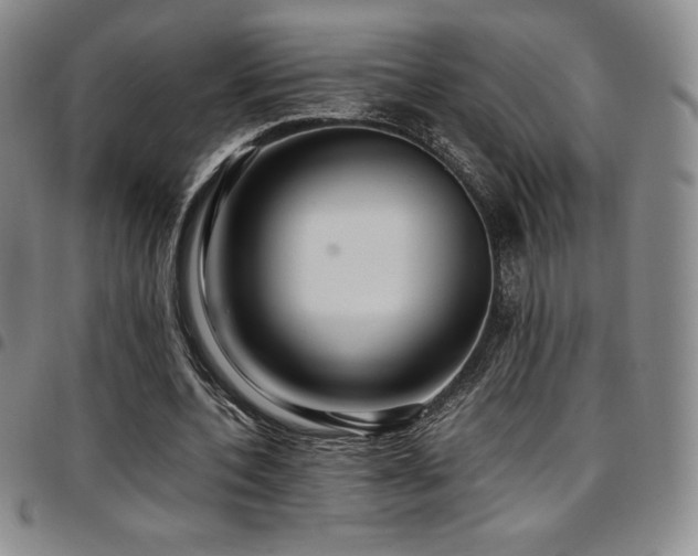 X0000097860532200803141240